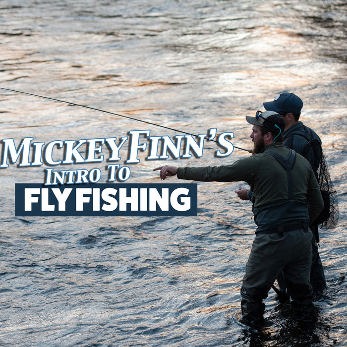 The Beginners Guide to Fly Fishing in Australia