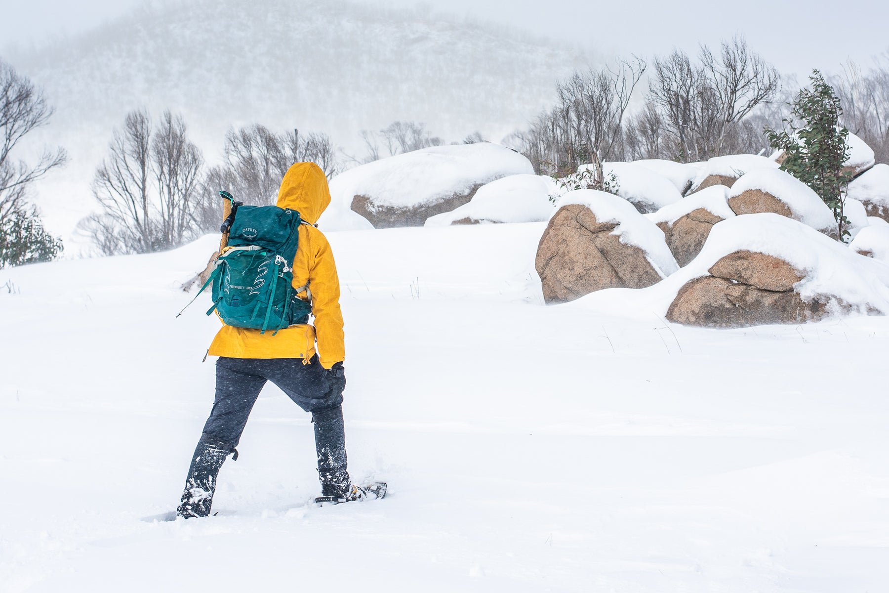 Chloe snowshoeing near Sawyers Hut in Kosciuszko National Park