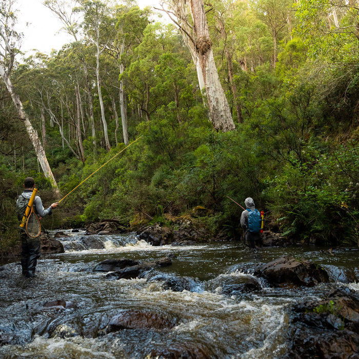 Pat and Dom fly fishing on Micalong creek near the Hume & Hovell Track