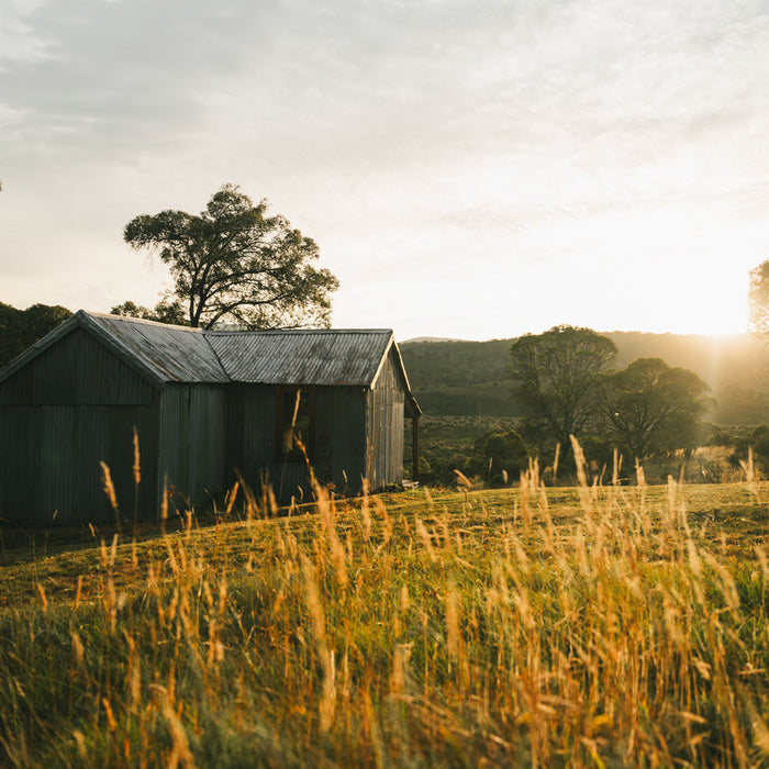 Solo Fly Fishing in Kosciuszko National Park | Hiking, Camping, Fly Fishing the Murrumbidgee River