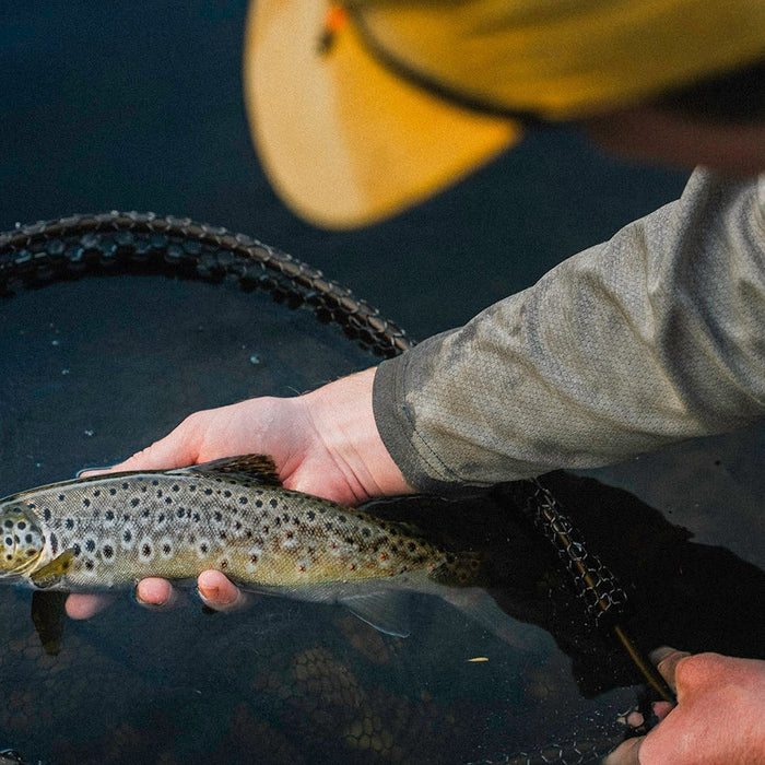 Hopper Session in Stunning Victorian Trout Streams | Australian High Country Fly Fishing in December