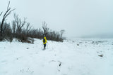 Chris snowshoeing on the Goldseekers Track at Three Mile Dam near Kiandra in Kosciuszko National Park