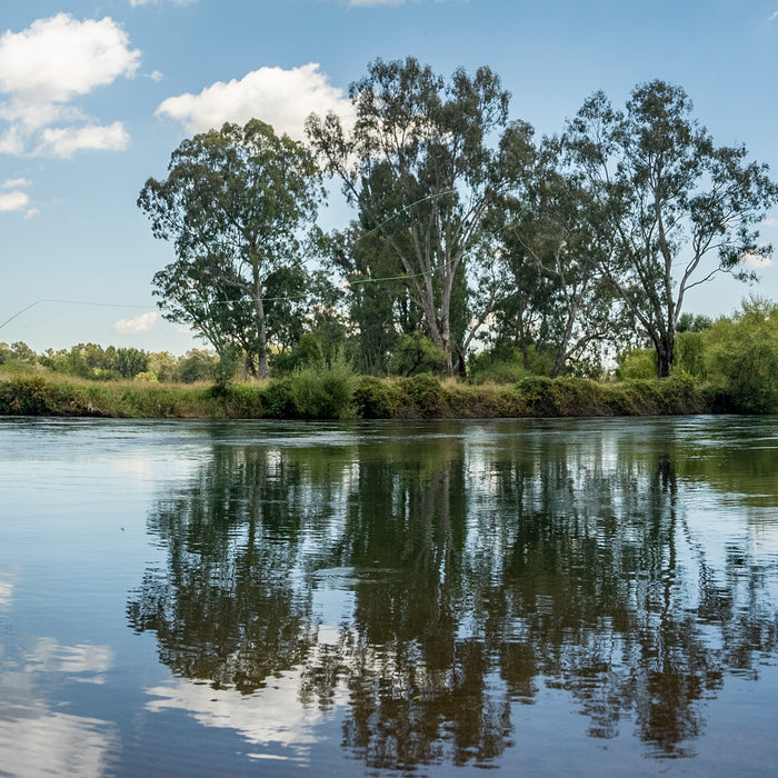 Tom's Outdoor Fly Fishing Guide Pat Ryan Nymphing the Tumut River