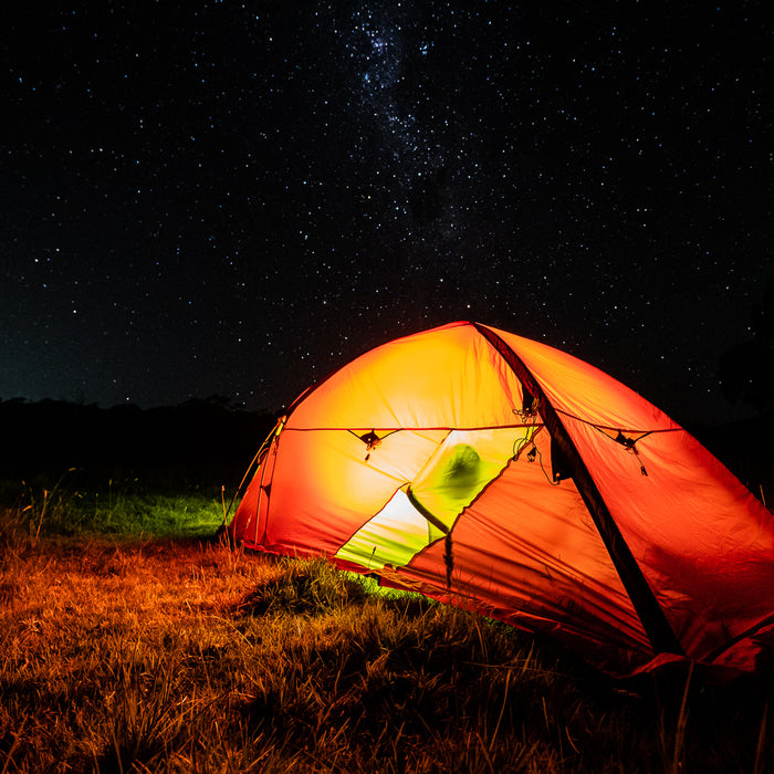 Toms Outdoors Anthem 2020