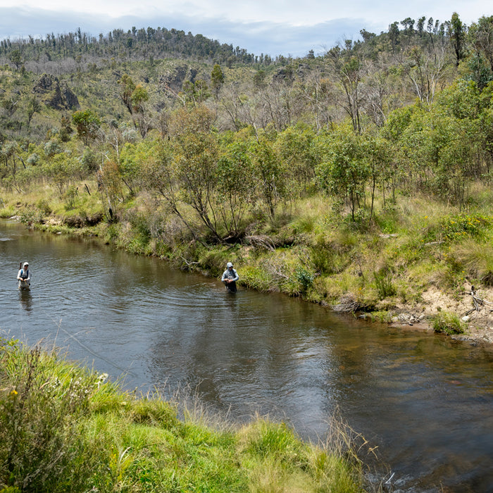 Tips for Fly Fishing Kosciuszko High Country Rivers & Streams | Snowy Mountains Trout Fishing