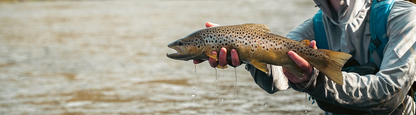 Gear Up for the Trout Season
