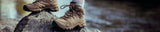 Atsko | All