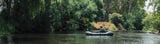 Paddle | All