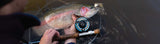 A big rainbow rout on a big white streamer