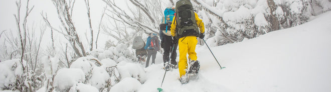 Snow | Snowshoes