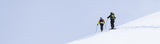 Snow | All