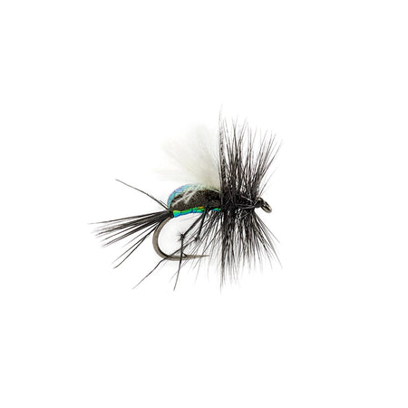 Fulling Mill McPhail Blowfly