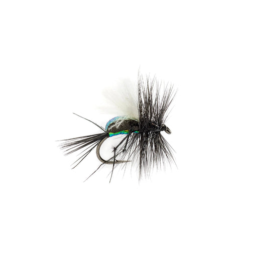 Fulling Mill McPhail Blowfly