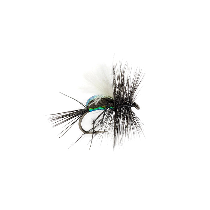 Fulling Mill McPhail Blowfly