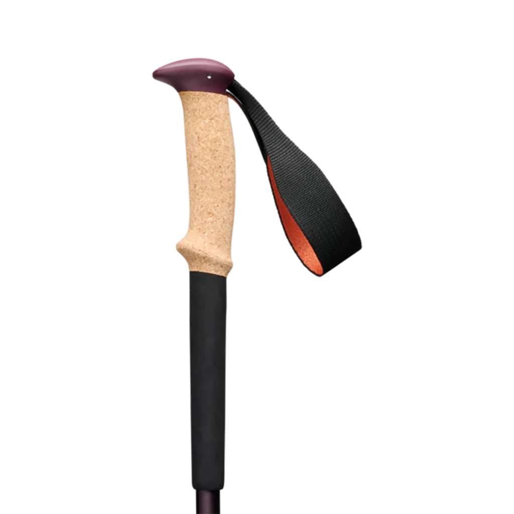 Black Diamond Trail Cork Trekking Poles Laurel Green Fig Details 2