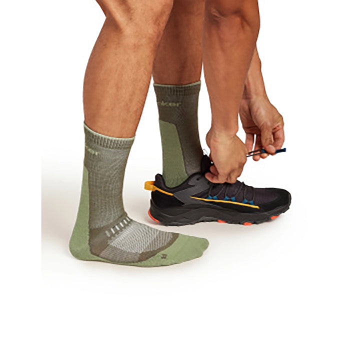 Icebreaker Men's Merino Hike+ Light Crew Socks