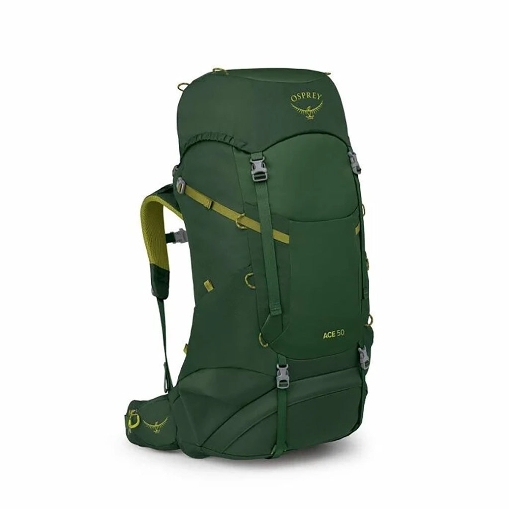Osprey Ace 50 - Kid's Hiking Backpack - Green Canopy/Matcha Green Hero