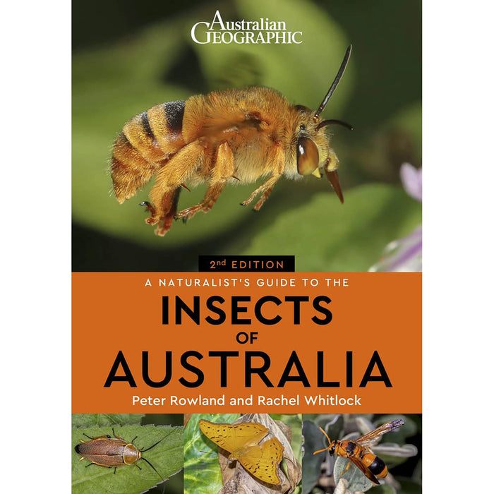 A Naturalists Guide To The Insects Of Australia (Second Edition)