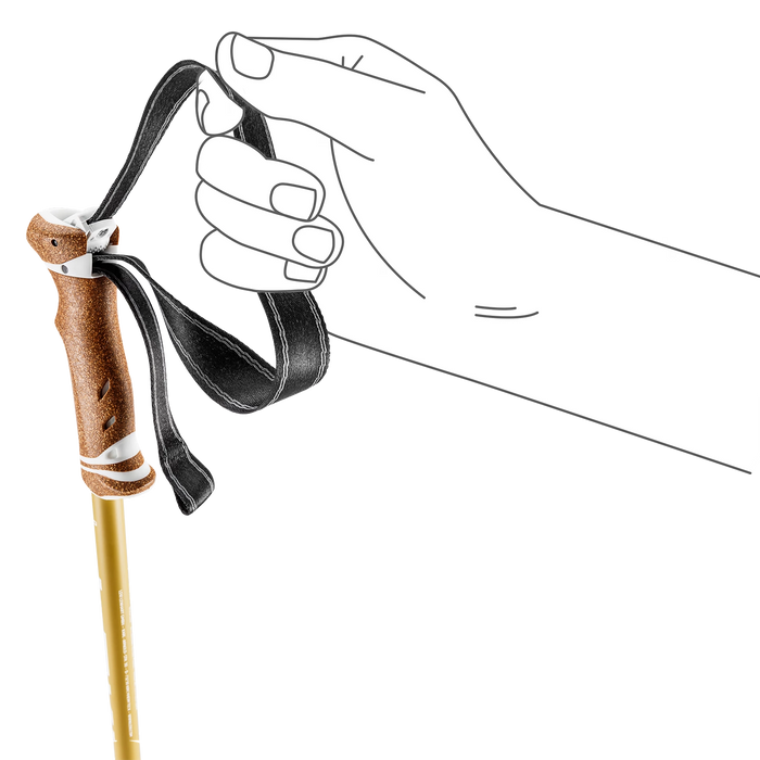 Leki Legacy Lite (Compact) Trekking Poles