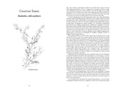 Australian Medicinal Plants: A Complete Guide to Identification and Usage