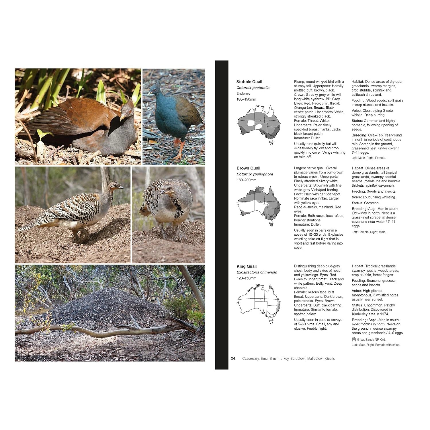 Complete Guide to Australian Birds — view 4