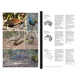 Complete Guide to Australian Birds — view 4