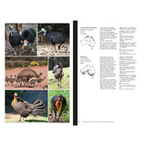 Complete Guide to Australian Birds — view 3