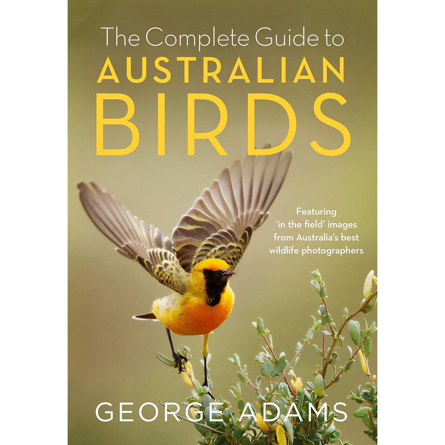 Complete Guide to Australian Birds