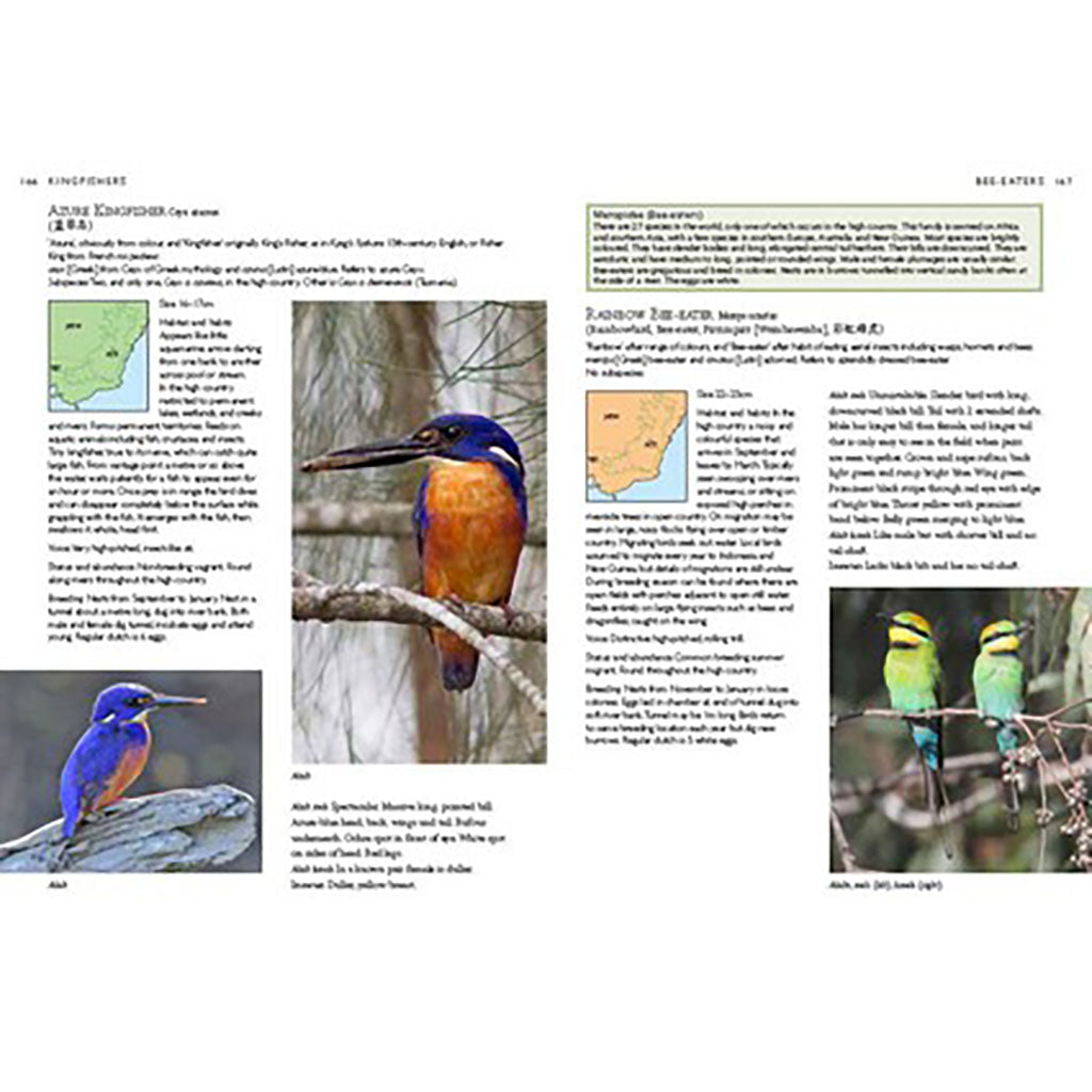 Birds Of Canberra And The High Country detail 2