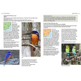 Birds Of Canberra And The High Country detail 2