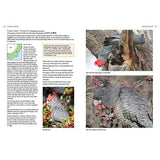 Birds Of Canberra And The High Country detail 3