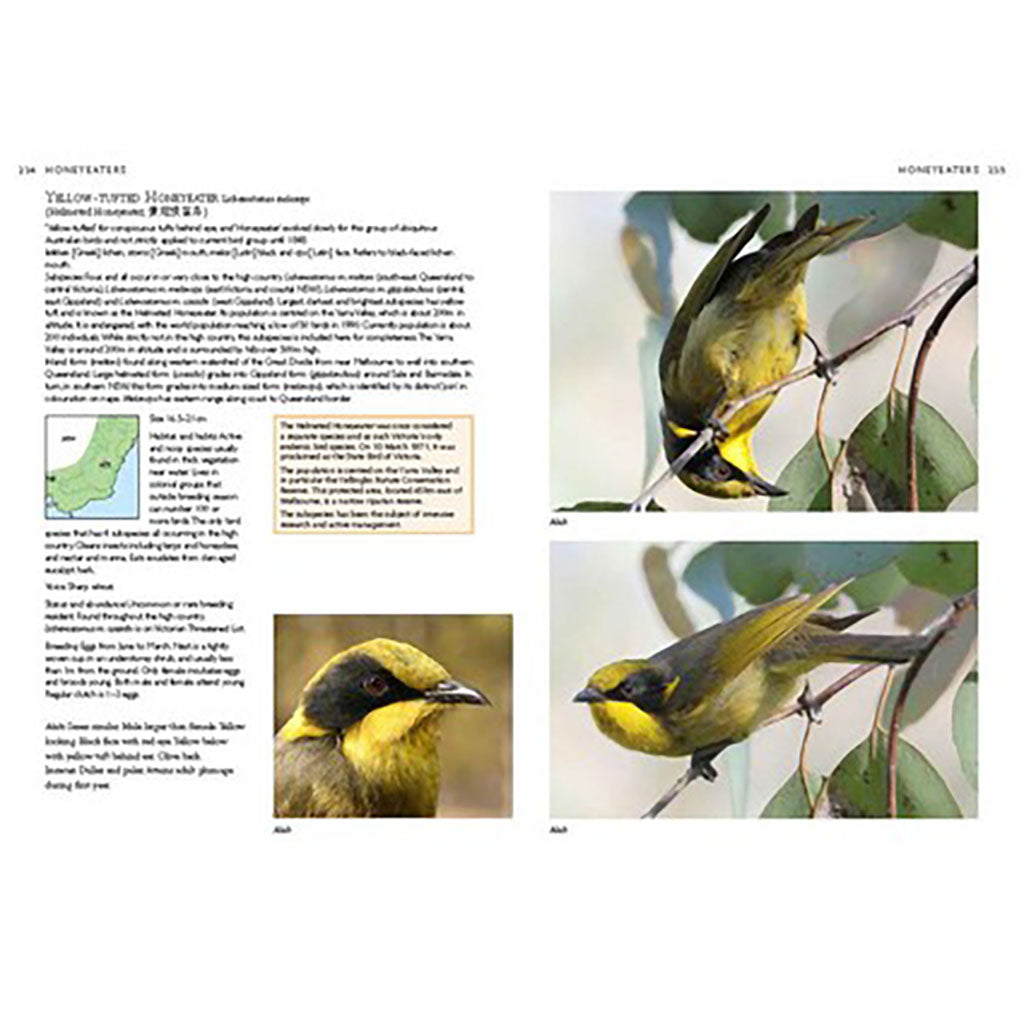 Birds Of Canberra And The High Country detail 4
