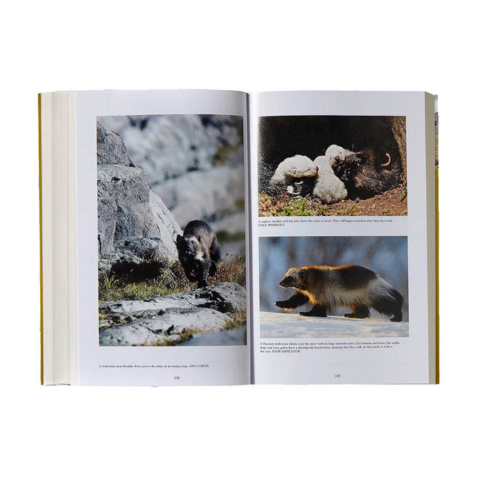 The Wolverine Way pg 159