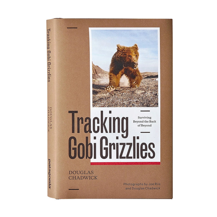 Tracking Gobi Grizzlies By Douglas Chadwick