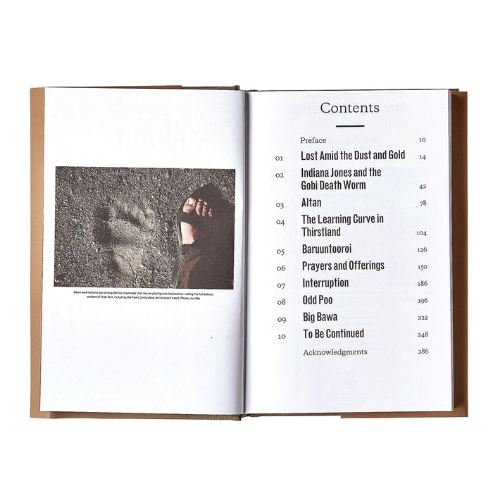 Tracking Gobi Grizzlies By Douglas Chadwick