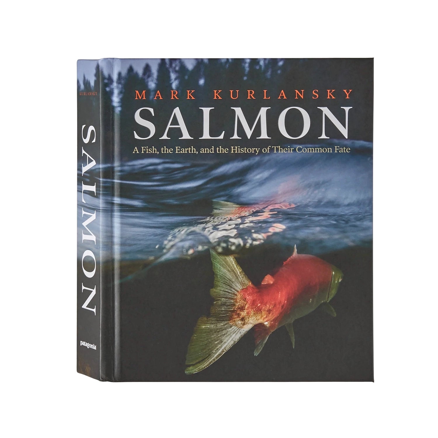 Salmon: A Fish, The Earth And The History Of Their Common Fate