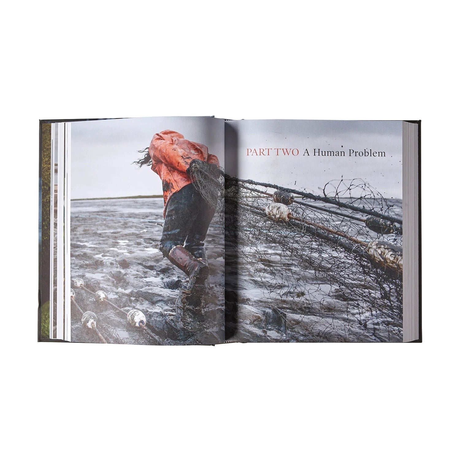 Salmon: A Fish, The Earth And The History Of Their Common Fate — view 7