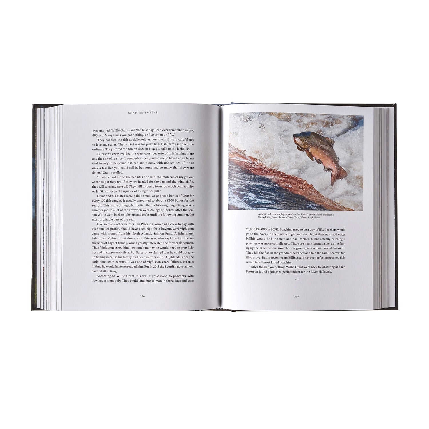 Salmon: A Fish, The Earth And The History Of Their Common Fate — view 5