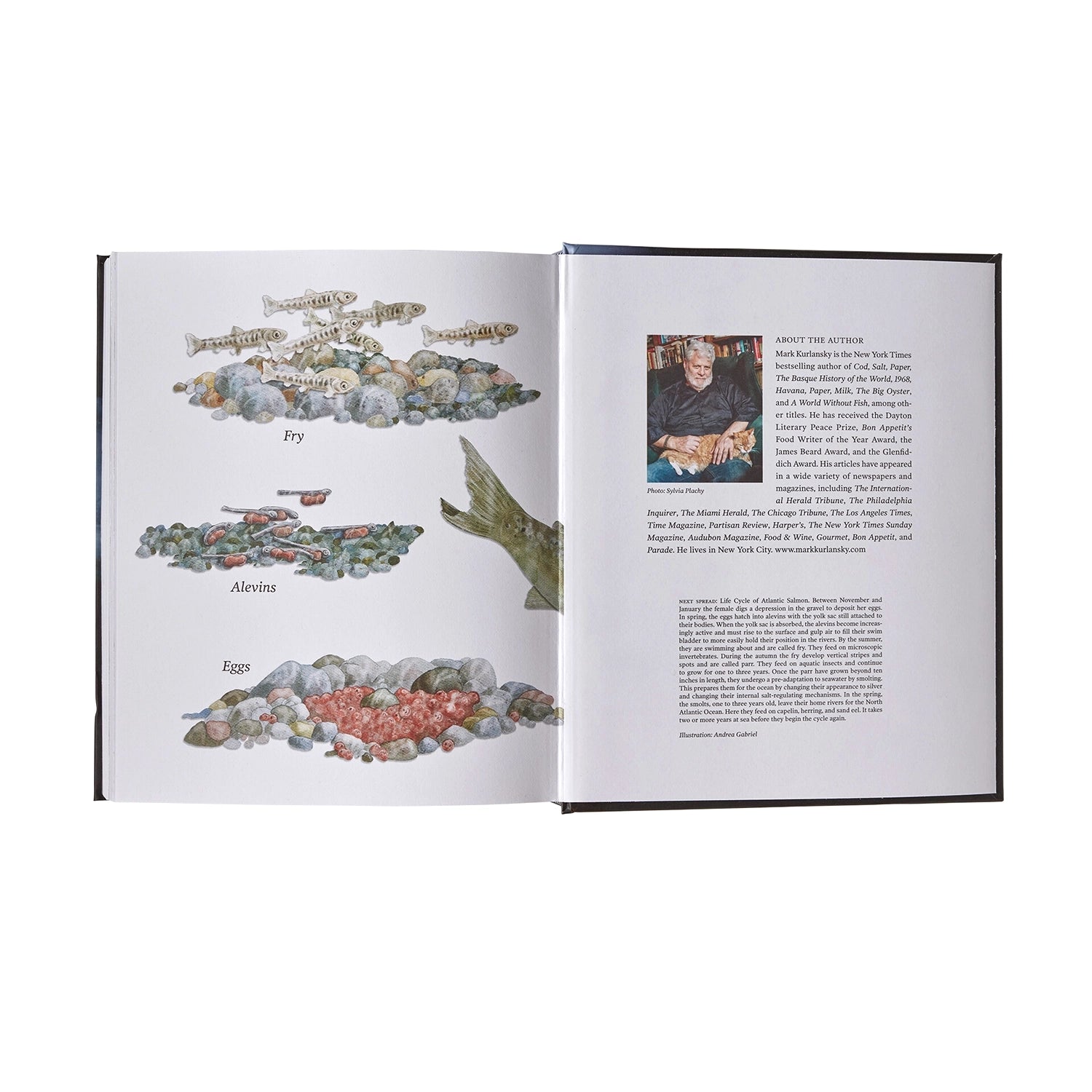 Salmon: A Fish, The Earth And The History Of Their Common Fate — view 3
