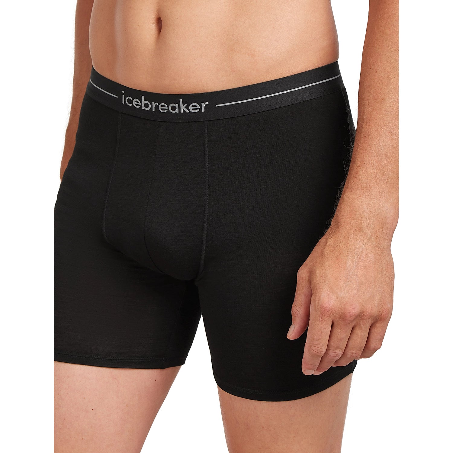 Icebreaker Men's Merino 150 Anatomica Long Boxers - Black — view 2