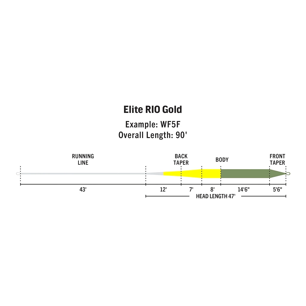 Rio Elite Gold Freshwater Fly Line — view 3