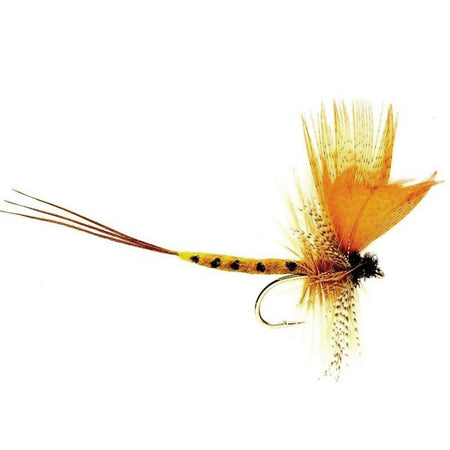 Fulling Mill Mayfly Thomas Yellow