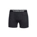 Icebreaker Men's Anatomica Merino Boxers