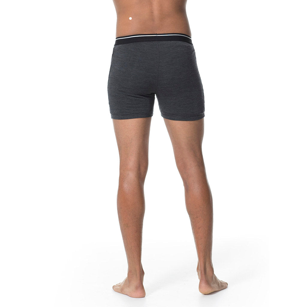 Icebreaker Men's Anatomica Merino Boxers — view 7