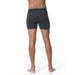 Icebreaker Men's Anatomica Merino Boxers — view 7