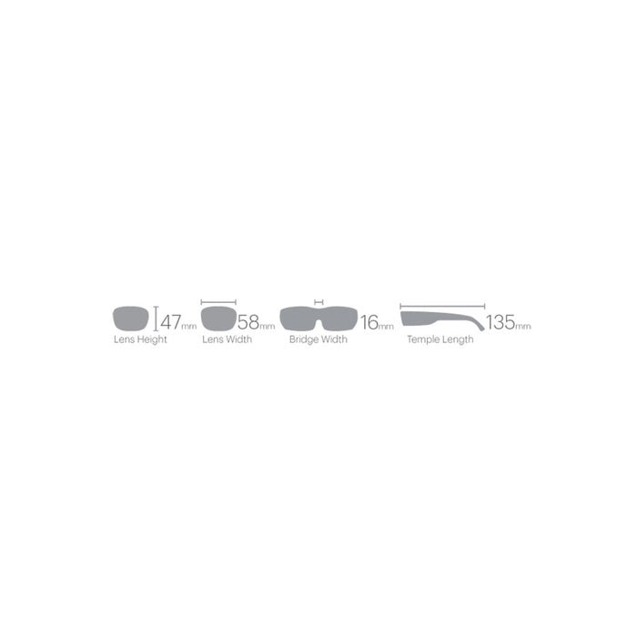 Smith Shoal Sunglasses - Tortoise Frame ChrompPop Glass Polarised Brown Lens dimensions