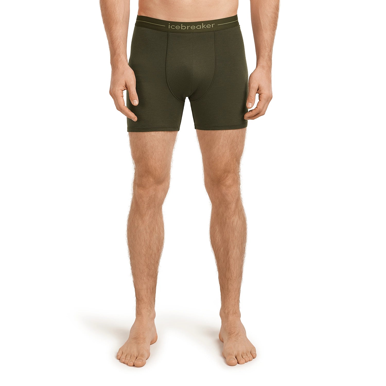Icebreaker Men's Merino 150 Anatomica Boxers - Lichen / Dark Loden / S — view 3