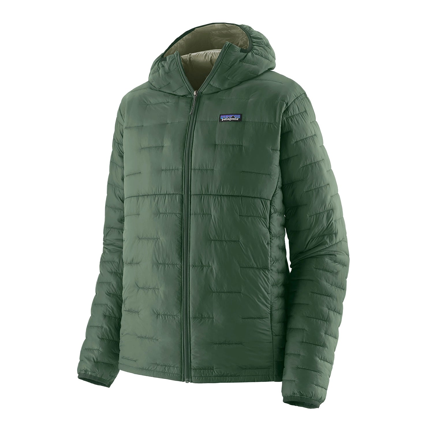 Patagonia Men's Micro Puff Hoody - Canopy Green