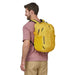Patagonia Refugio Daypack (26L) SHNY model back