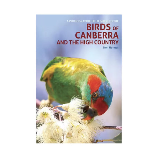 Birds Of Canberra And The High Country hero